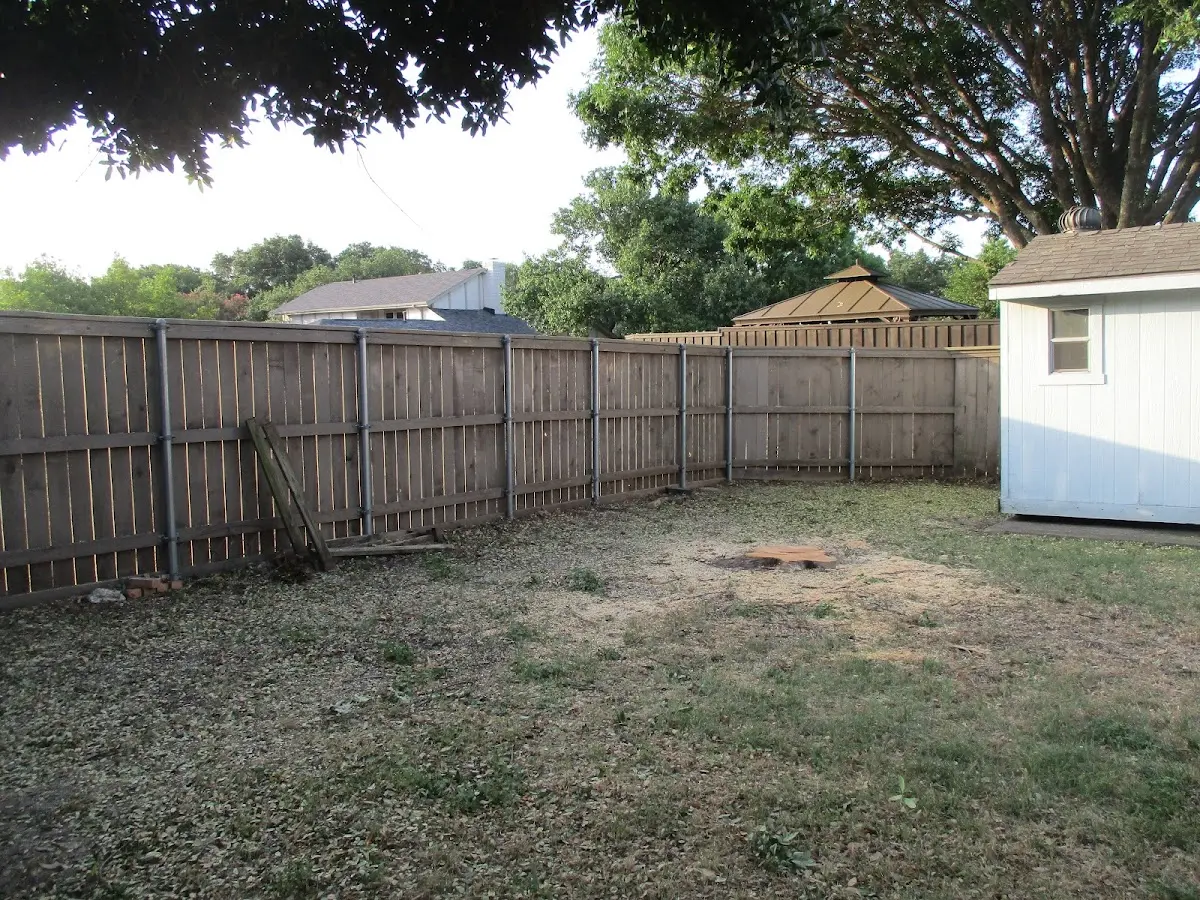 Cleared yard after professional tree removal in Perronville
