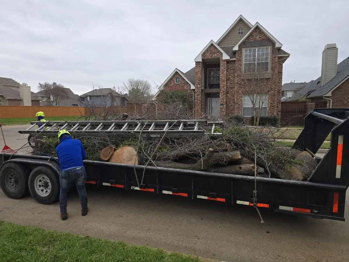 Expert Tree Removal with proper safety equipment in Perronville